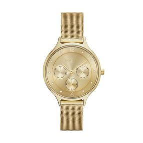 Reloj Skagen SKW2313