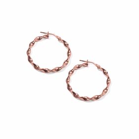 Aros Carmin Verano de Plata 925 Con Baño Rosé