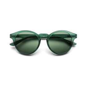 Lentes de Sol B+D Round XL Matt Green