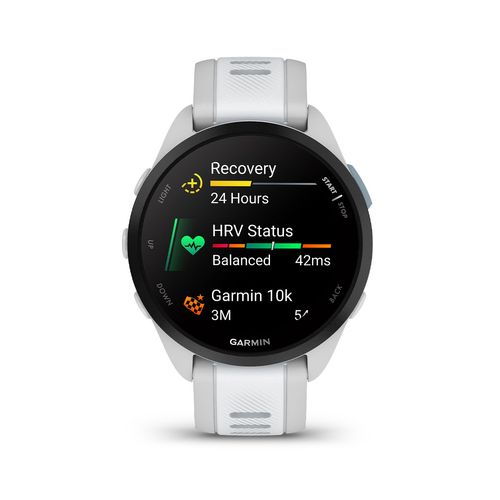 Smartwatch Garmin Forerunner 165 Grey