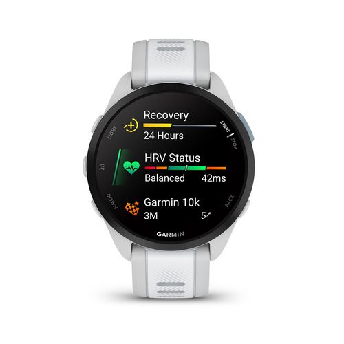 Smartwatch Garmin Forerunner 165 Music Mist Grey