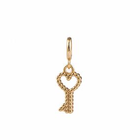 Charm Carmín con Llave Colgante Dorado