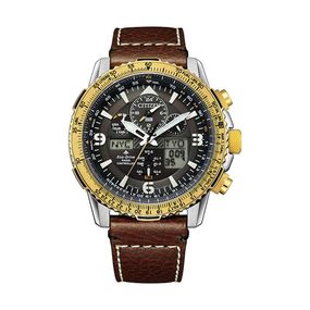 Reloj Citizen Eco Promaster de Cuero Jy808417H