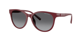 Lentes Armani Exchange Geometric transparencies
